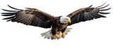Fototapeta  - Flying adult bald eagle