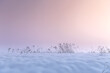 Krajobraz zimowy, różowy mglisty świt (Winter landscape, foggy dawn)