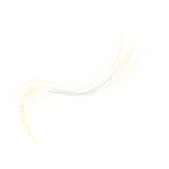 Leinwandbilder - luxury gold curved lines with glitter and sparkling illustration 