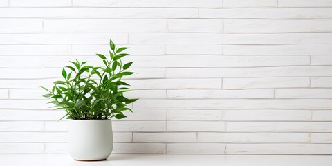 Sticker - Modern, minimalistic apartment with a green houseplant and white brick wall.