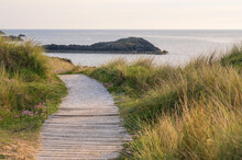 A Path, Leading Through Grassy Sand Dunes Overlooking The Ocean. It Is Evening And The Scene Is Bathed In Golden Light