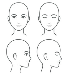 Sticker - Woman face and head profile diagram (without hair), eyes open and closed. Blank female head template for medical infographic. Isolated vector illustration.