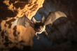 Wild bat wings mammal nature animal vampire night black nocturnal wildlife