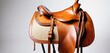  a close up of a horse saddle with a saddle on the bottom of the saddle and a saddle on the bottom of the saddle.