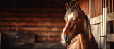 Fototapeta  - Rental business showcase, horse against a private stable backdrop, an equestrian haven