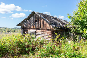 Wall Mural - Abandoned destroyed rural wooden house in russian village in summer sunny day