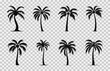 Palm tree Silhouette Vector art set, Tropical palm trees black and white vector Bundle