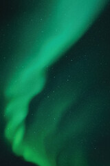 Sticker - green aurora borealis. night starry sky and northern lights