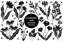 Set Of Black Abstract Flowers And Leaves.botanical Linocut Plant And Organic Elements, Herbs Print. Vector Illustration.