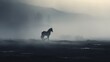  a black and white photo of a horse running through a foggy field with mountains in the distance in the distance.
