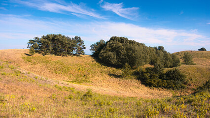 Wall Mural - A grassy hill with trees on top of it.