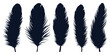 © Adopik - Bird Different types Feathers silhouettes vector art