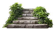 Stone Steps Surrounded By Lush Greenery, Cut Out