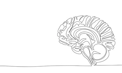 Wall Mural - Human brain one line continuous banner. Line art human brain line art. Hand drawn vector art.