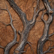 Verzweigte Äste auf rustikalem Holzhintergrund - Naturnahe Kunst