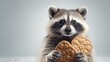 A raccoon caught in the act, holding a cookie with a surprised expression. On light background. With copy space. Cookie Thief. Cute animal. Perfect for snack ads or funny animal images.