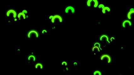 Wall Mural - small neon rings move in space. design. neon rings vibrate in space with waves and reflections. lumi