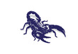 Scorpion vector image, illustration of scorpion, suitable for icons, logos, t-shirts,
