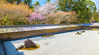 Ryoanji Temple in Kyoto is the site of Japan's most famous rock garden and beautiful cherry blossom in spring time