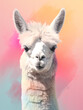 Colorful abstract oil acrylic painting of stylish alpaca