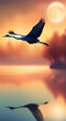 Bird over the sea wallpapers for I pad, Notebook cover, I phone, tab mobile high quality images.