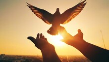 Silhouette Pigeon Return Coming To Hands In Air Vibrant Sunlight Sunset Sunrise Background. Freedom Making Merit Concept