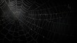 Spider web set isolated on dark background. Spooky Halloween cobwebs with spiders