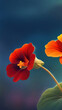 Red poppy flower wallpapers for I pad, Notebook cover, I phone, tab mobile high quality images.