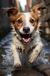 Mischievous Jack Russell Terrier, Generative AI