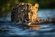 a close up of a leopard swimming in a body of water. generative ai