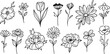 Flower doodles, vector floral illustrations cute tiny hand drawn decorative element set