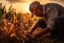 A Farmer Working On The Field