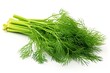  Dill isolated on white background