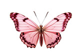 Pink butterfly in PNG format or on a transparent background. A decorative and design element for a project, banner, postcard, business, background. A beautiful bright butterfly.  Insect.