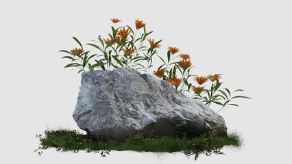 Aufkleber - footage of flower and rock stone on white background, 3d illustration rendering