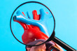 Coronary vessels of the heart under a magnifying glass on a blue background. Concept of examining heart vessels with coronary angiography, atherosclerosis. Close-up