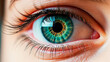 Beautiful single green eye close up. Macro image of human eye with green iris.