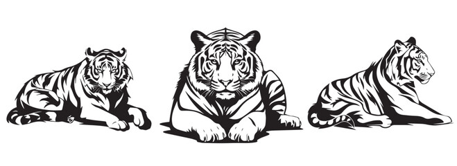 Wall Mural - Set of three tigers lying down, black and white decorative vector graphics
