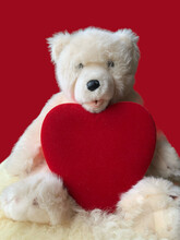 Teddy Bear With A Red Heart