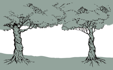 Wall Mural - Vector background. Frame from trees