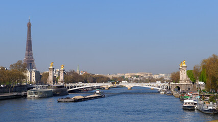 Canvas Print - Alexandre III bridge in the 8th arrondissement of Paris city