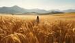Scenery behind alone one woman stand in the middle of barley field surrounded by hay, autumn field scenery and sunny sky.