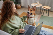 Over shoulder view of young woman petting cute dog while using computer relaxing on couch at home, copy space
