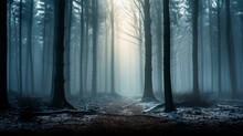Dark Foggy Forest With Bare Trees