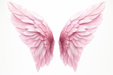 Pink Fairy Wings Isolated On White Background