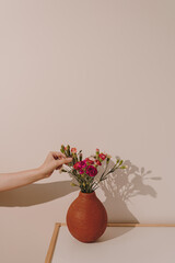 Wall Mural - Female hand touching carnation flowers bouquet in red clay pot on table. Aesthetic warm soft sunlight shadows on wall. Mother's Day, Valentine's Day background