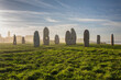Dawn at the Menhirs: Galicia's Megalithic Mystery