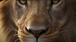 Hyperrealistic close-up photo capturing the focused eyes of a powerful lion