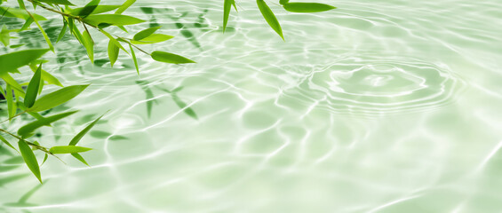 border of green bamboo leaves over sunny water surface background banner, beautiful spa nature scene with asian spirit and copy space