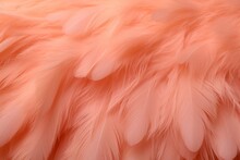 Peach Fuzz Color Feathers Texture Background